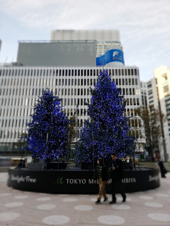 d0113613_15372214.jpg