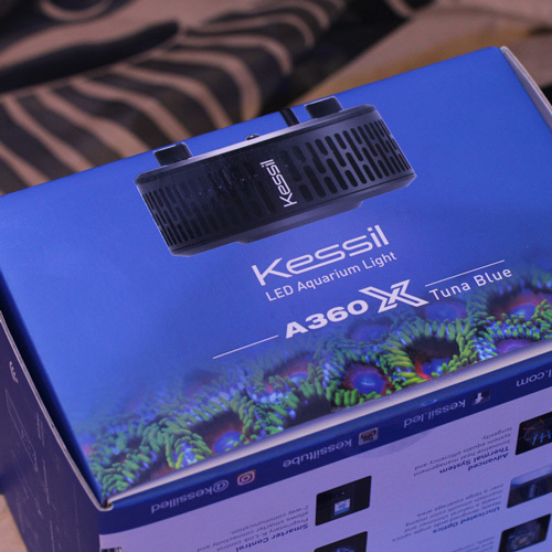 New!!KessilA360X_d0221436_20405350.jpg