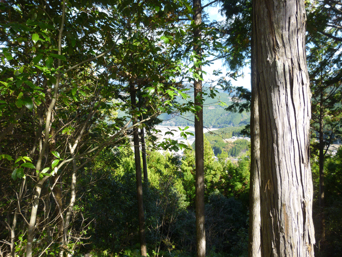 e0371039_12583418.gif