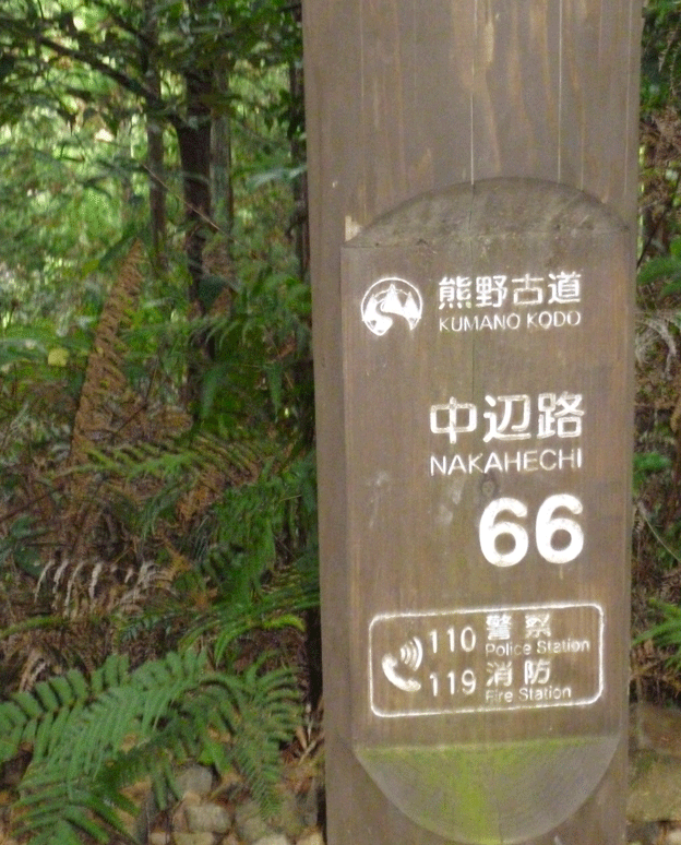 e0371039_12591277.gif