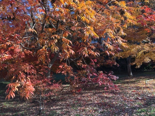 b0330040_13584416.jpeg