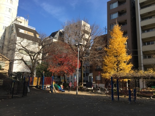 b0330040_15351886.jpeg