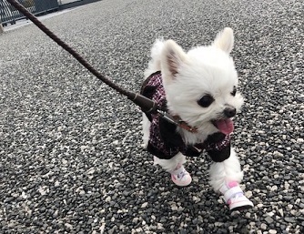 a0251743_13020041.jpeg