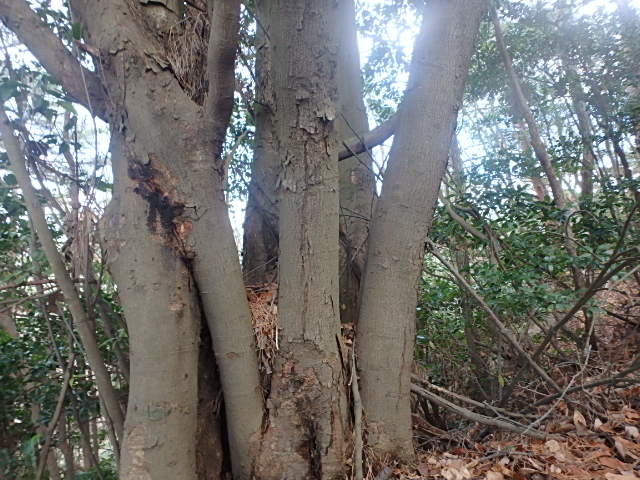 f0334143_20251650.jpg
