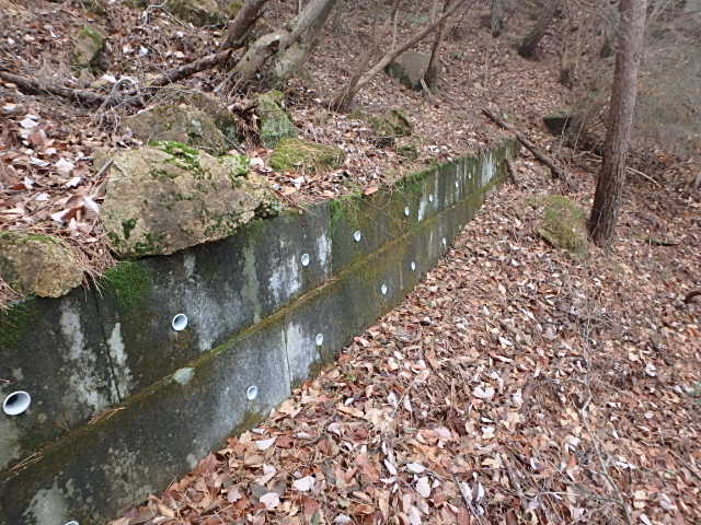 f0334143_20292934.jpg