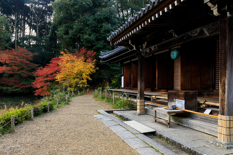 京の紅葉2018　紅葉に包まれる三重塔（浄瑠璃寺）_f0155048_19514697.jpg