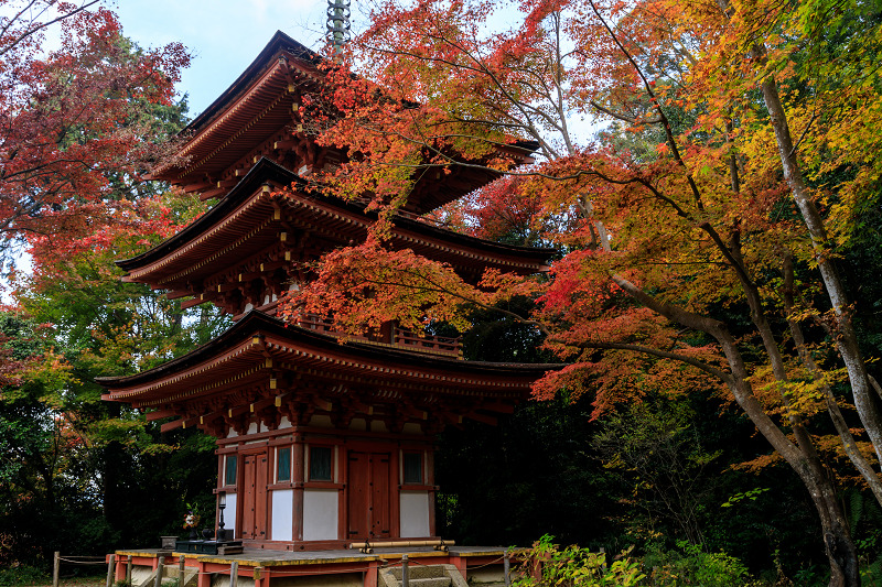 京の紅葉2018　紅葉に包まれる三重塔（浄瑠璃寺）_f0155048_195548.jpg