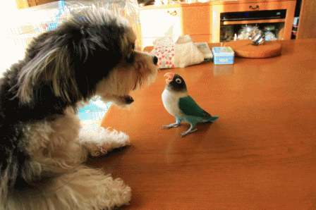 c0145250_10025905.gif