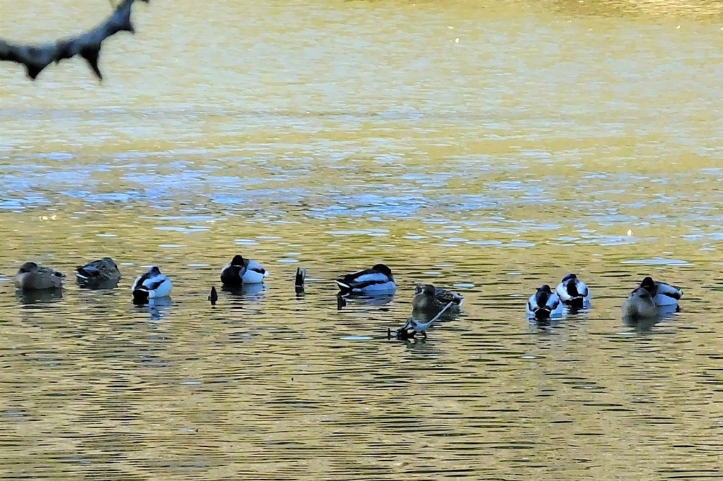 b0236251_13345675.jpg