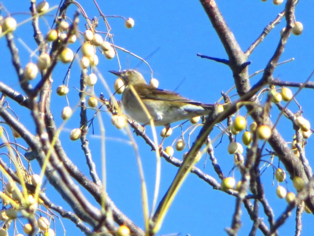 a0018655_09061509.jpg