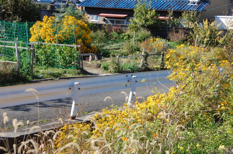c0108460_17282887.jpg