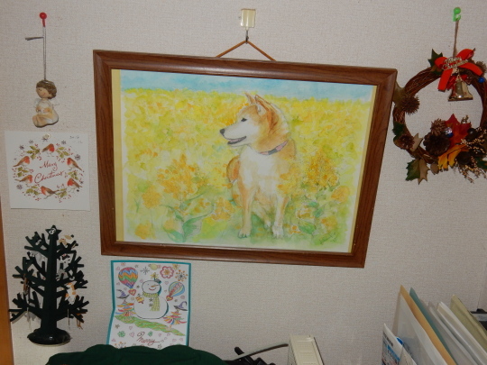 ’18,12,25(火)真っ赤な太陽とクリスマス!_f0060461_08181854.jpg