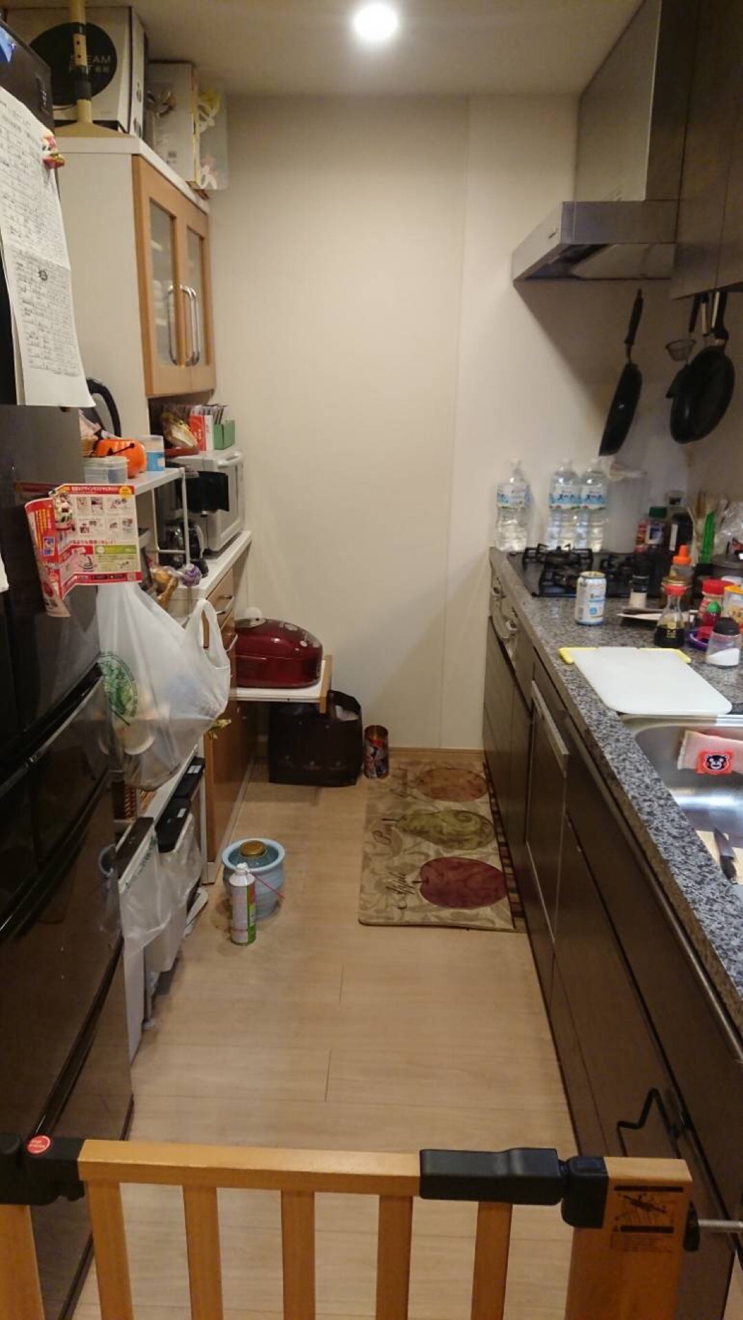 d0339663_21481680.jpeg