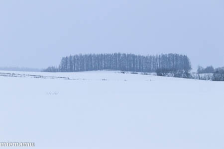 d0340565_20371008.jpg