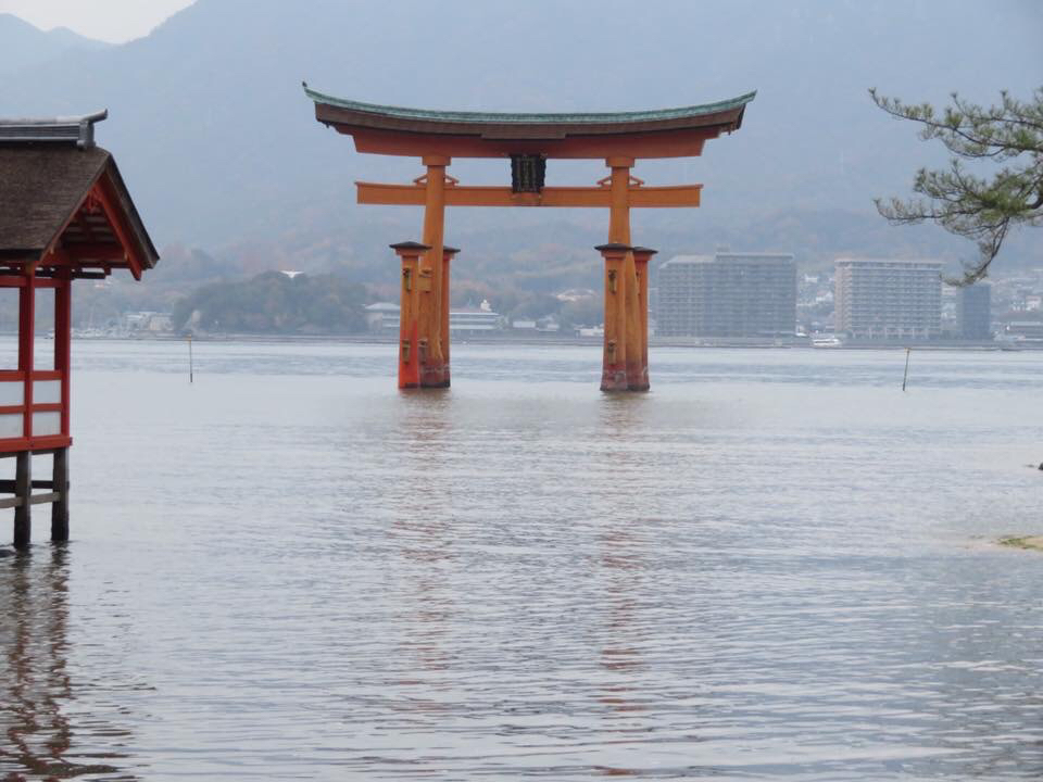 念願の厳島神社へ！_f0233068_16560295.jpg