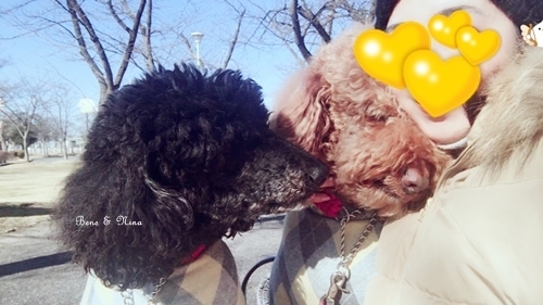 c0283778_22243675.jpeg
