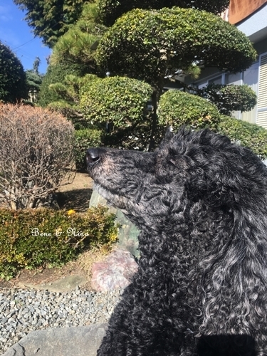 c0283778_22302070.jpeg