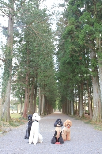 c0283778_22375526.jpeg