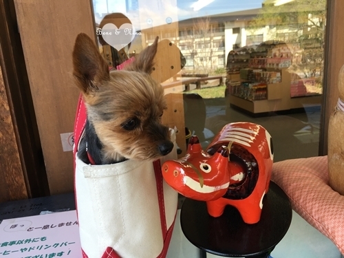 c0283778_22393281.jpeg