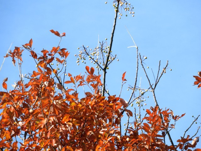 f0378979_15175083.jpg