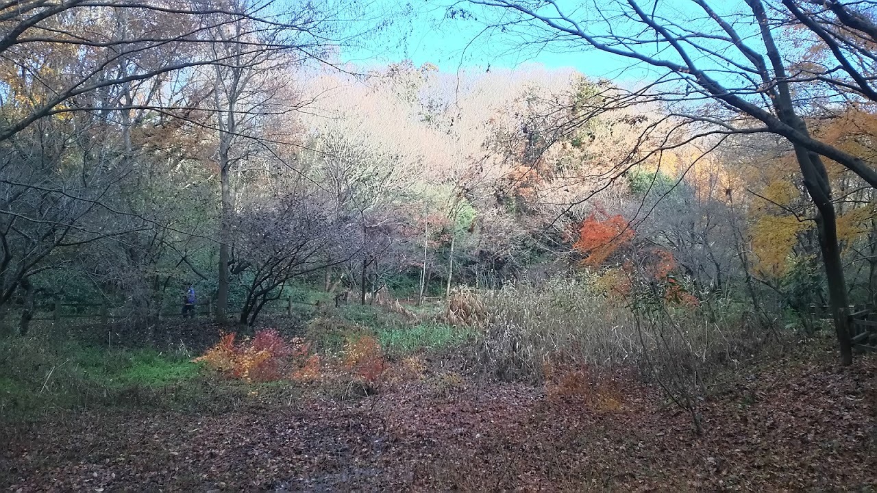 a0052080_22545759.jpg