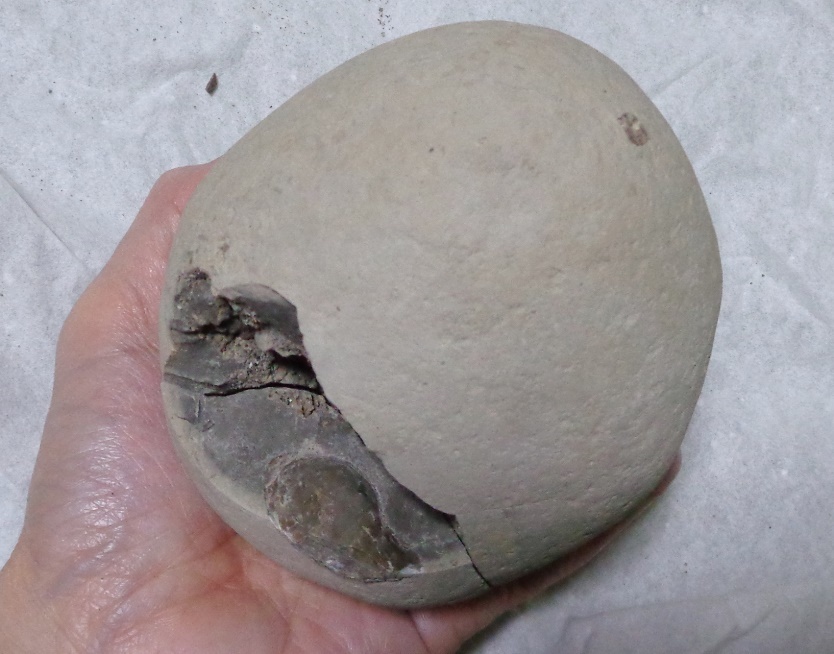 コンクリーション!! : my earth my world