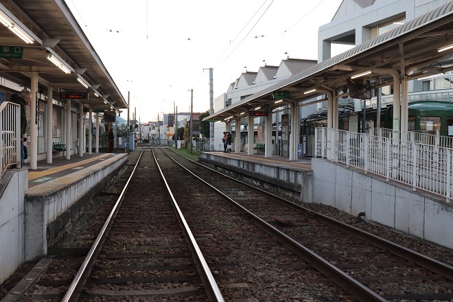d0183387_17322280.jpg