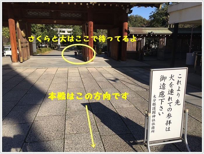 b0175688_21501363.jpg