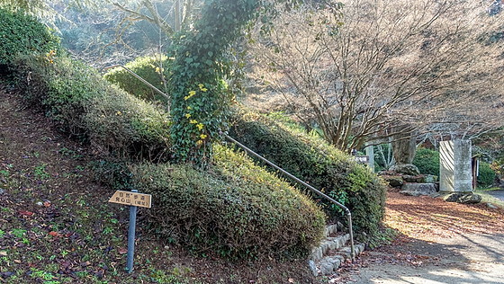 e0176993_07473140.jpg