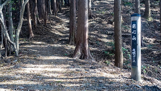 発心山登山_e0176993_07473290.jpg