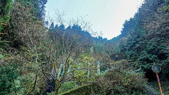 e0176993_07473352.jpg