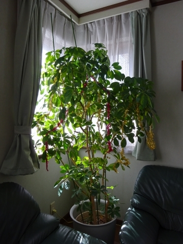 c0322794_00015280.jpg