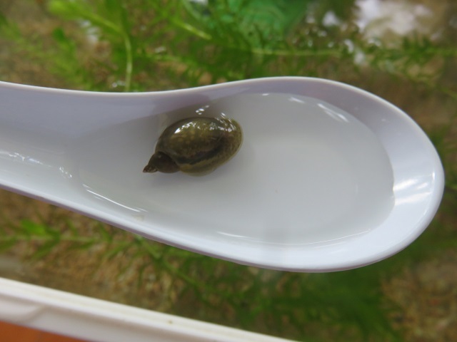 f0346196_13423005.jpg