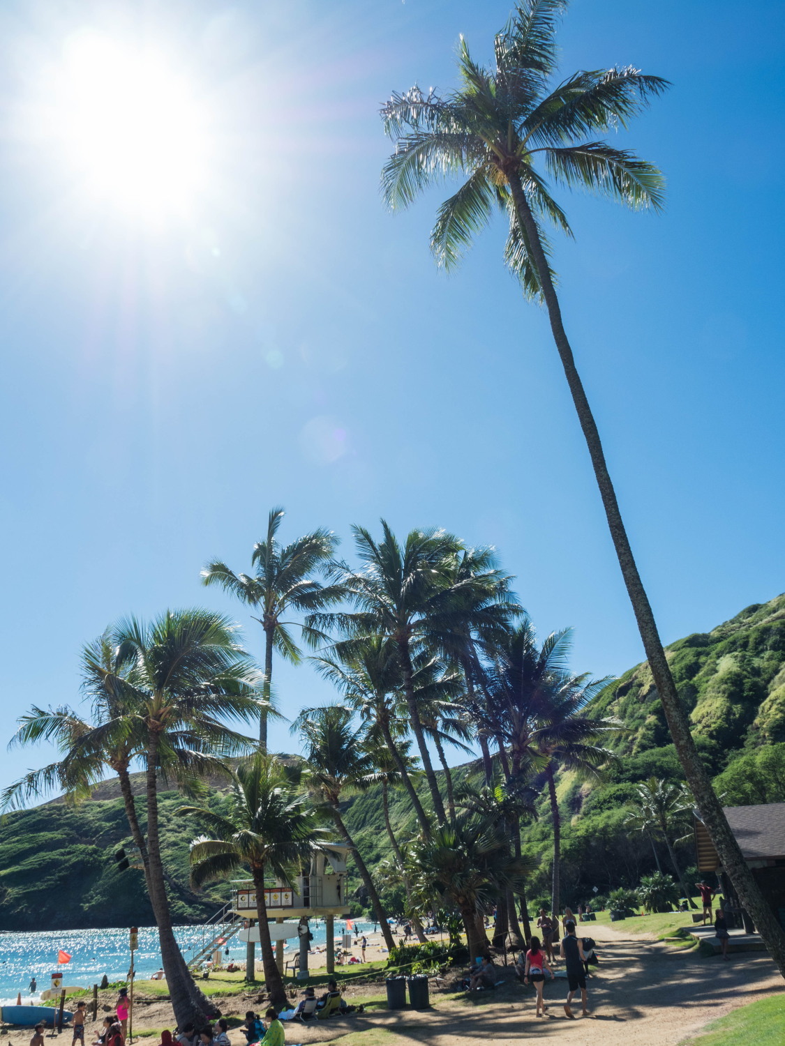 2018常夏の楽園ハワイ(ホノルル・オアフ島)へvol.6～珊瑚の海ハナウマ湾～_f0276498_18215536.jpg