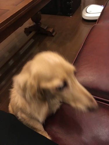 f0188600_20551836.jpeg