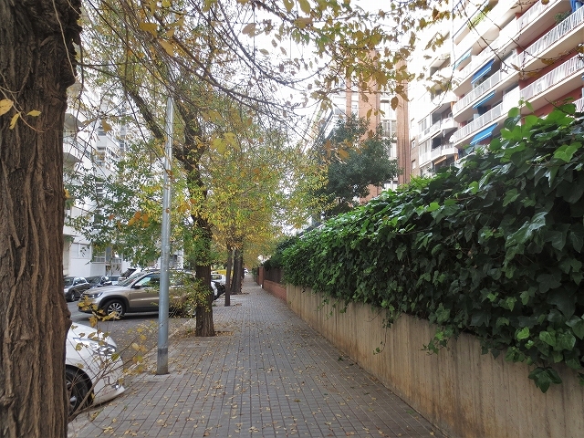 b0064411_01144624.jpg