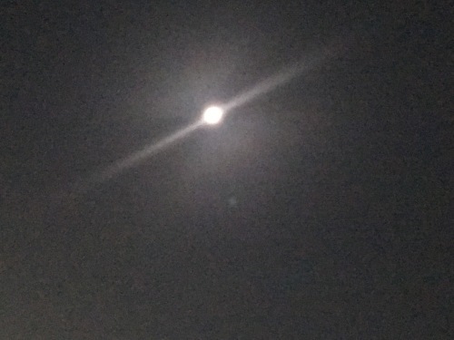 c0102513_11074609.jpeg