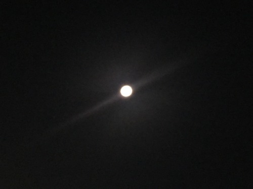 c0102513_11080302.jpeg