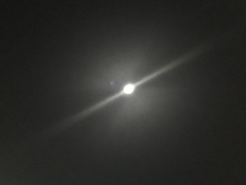 c0102513_11084378.jpeg