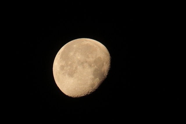 e0361216_11161573.jpg