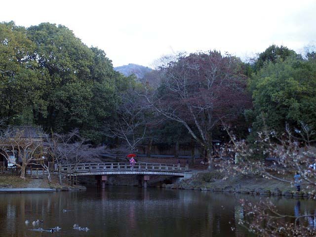 d0295818_01362584.jpg