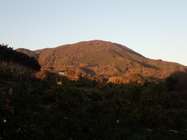 d0378939_08342451.jpg