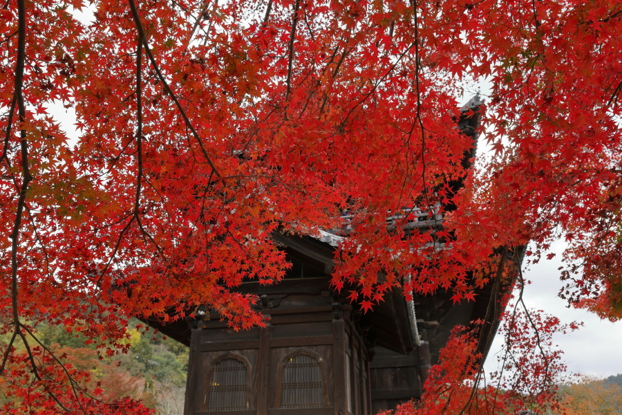 紅葉の南禅寺_b0325840_22022848.jpg