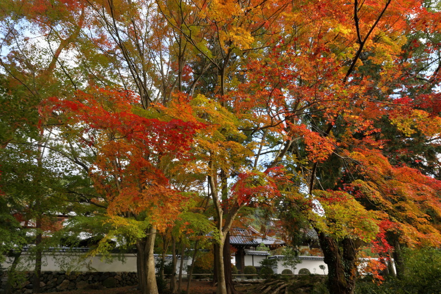 紅葉の南禅寺_b0325840_22032822.jpg