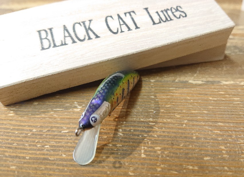 BLACK CAT Lures(ブラックキャットルアーズ)Envy(エンビー)入荷しました！！_e0272349_15515068.jpg