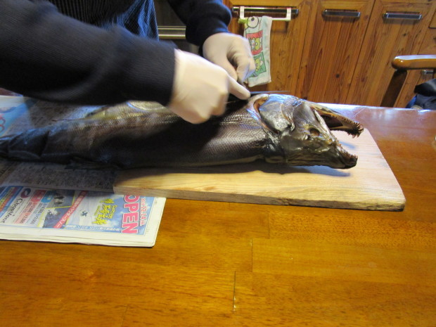 c0327752_17142630.jpeg