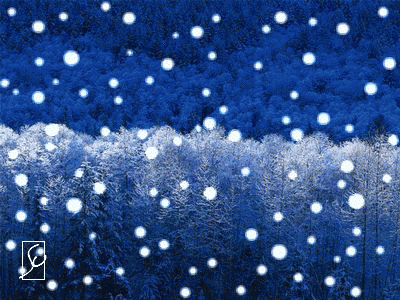c0119160_22361709.png