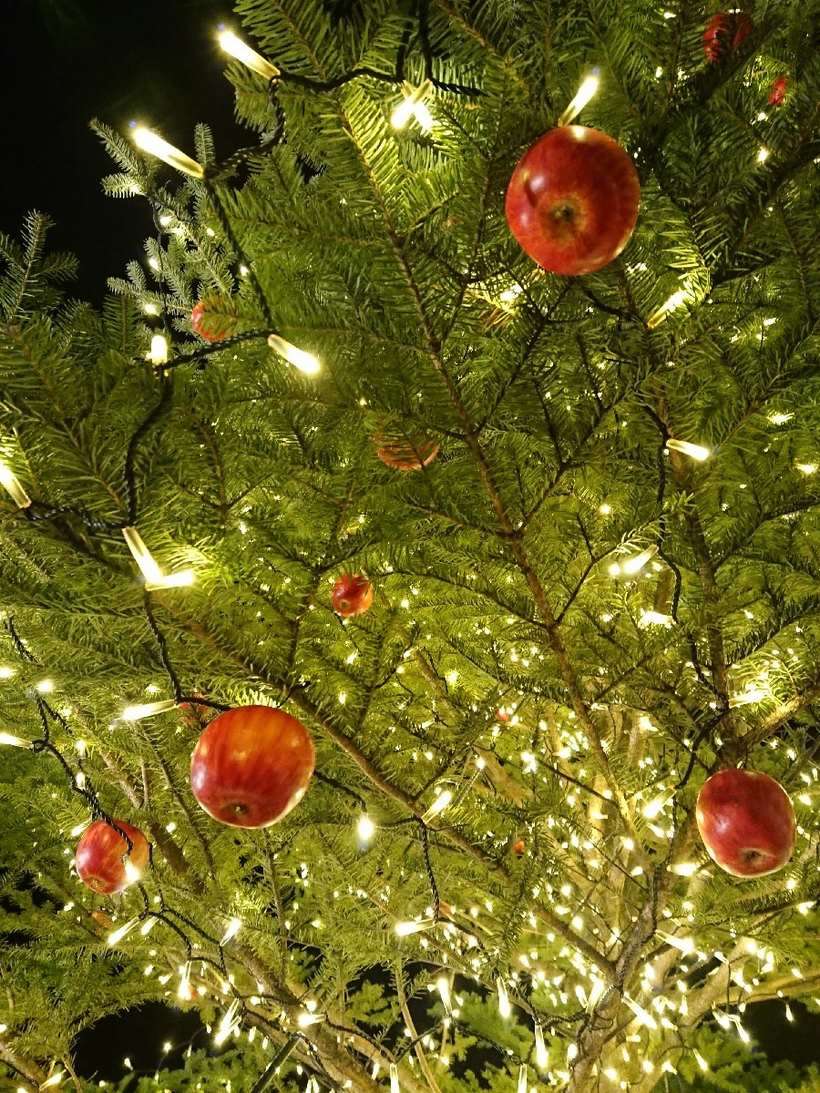 f0201565_14104885.jpg