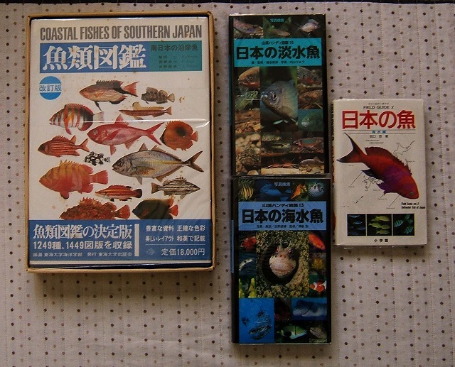 検索に必要な 魚類図鑑 4冊を購入した 蝶 チョウ ゆっくり歩き 千蟲譜物語