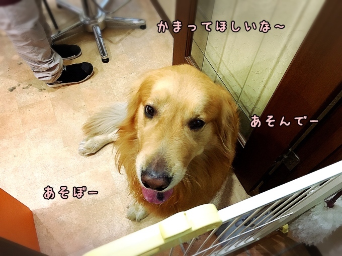 d0269898_08434977.jpeg